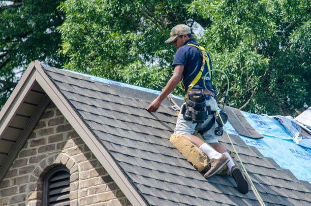 Best Roof Restoration Services  in Crestwood, IL